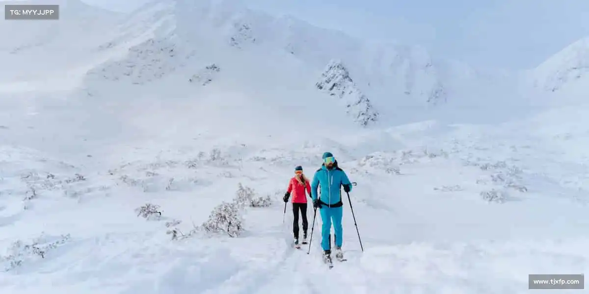 <strong>zijzijzijzij户士免费入口</strong>打造沉浸式光影体验，让观众走进故事深处🚀